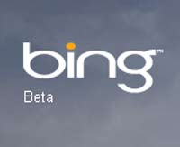   - Google      Bing`a