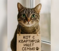 Реклама - Как купить квартиру за полцены?