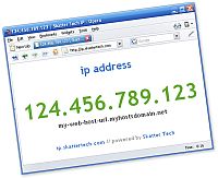   - IP-  IPv4 . IPv6-   480 