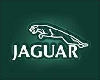 ������� �������� - Jaguar �������� ���������, ������� ���������� $100 ��� 