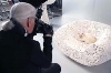 - В рекламе косметики снялась кошка Лагерфельда