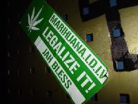 - Legalize It Now!      