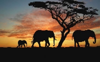  -   Safari    cookie  . , !