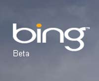  - Google      Bing`a