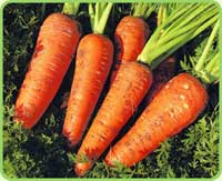 Обзор Рекламного рынка - В США потратят 25 миллионов долларов на рекламу моркови