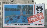- На улицах Новокузнецка появились "свинстопы"