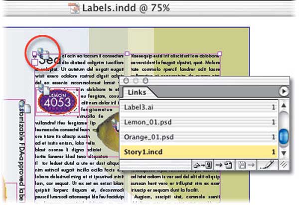 . 1.     InDesign