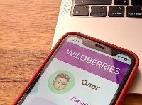 ������� - ����� �������� ���������� �� Wildberries?