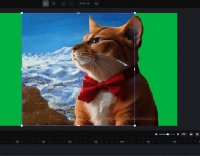 ������� - ��� ���� ���������� �������������� �����������?