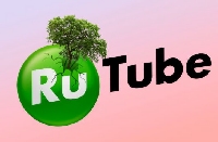  -  RuTube    30 %