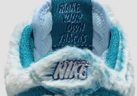  -    Nike   ?