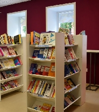 - Самые популярные книги в пандемийный год