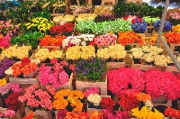 Новости Технологий - Доставка цветов в Москву - свежие и благоухающие букеты с доставкой на дом!