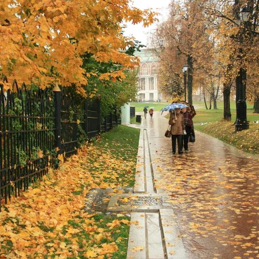 Исследования - Что день грядущий нам готовит?