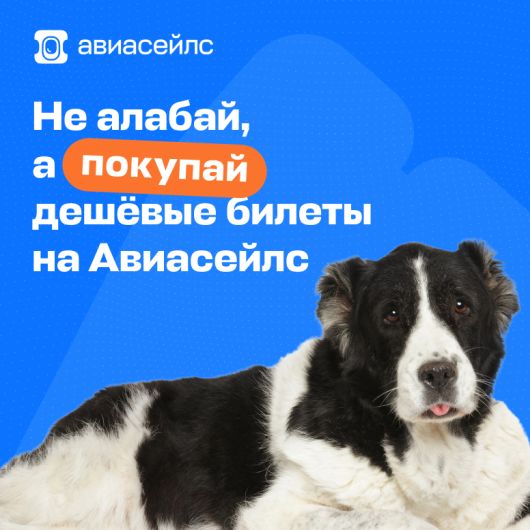 Дизайн и Креатив - Как найти авиабилеты по выгодной цене?