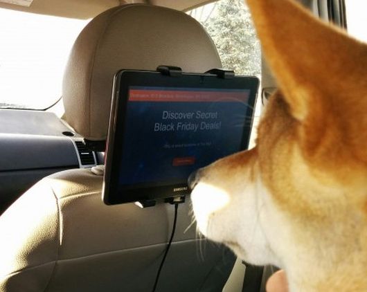 Новости Рынков - Зачем Uber свое рекламное подразделение?