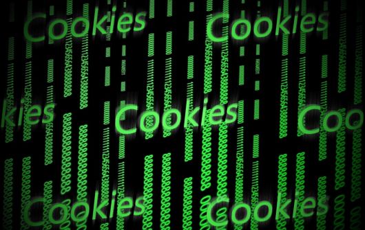   -  World Wide Web  Google   cookie  
