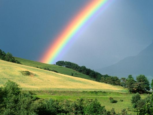 Интернет Маркетинг - Как Apple хочет заставить заплатить за прогноз погоды?