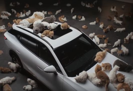 ������� ����� ������� - ��� ����� ����� ���������������� ����������?