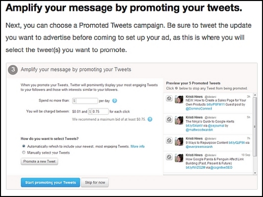 Интернет Маркетинг - Как рекламодателю получить бонус от Twitter?