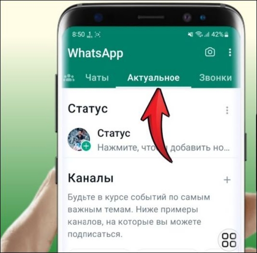   -       WhatsApp?