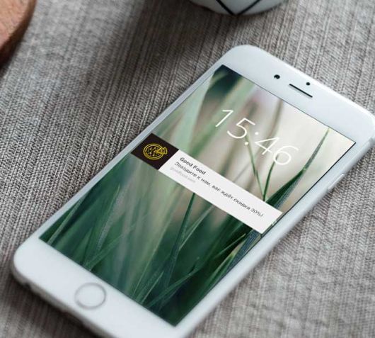 ������������ - ����� ������� ���������� ������� �����?