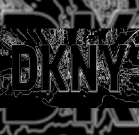 - DKNY решил изменить свой логотип
