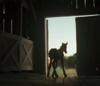 ������� - ��� ������� ��������� ������� ���������� ����������?