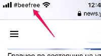  -     .  Beeline  BeeFree