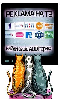 - Предложение либерал-демократов