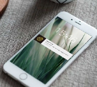 ������� - ����� ������� ���������� ������� �����?