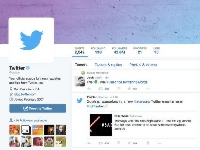 Реклама - Как получить с Илона Маска часть дохода от рекламы в Twitter?