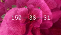  -      - 2022