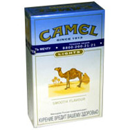  - Camel   